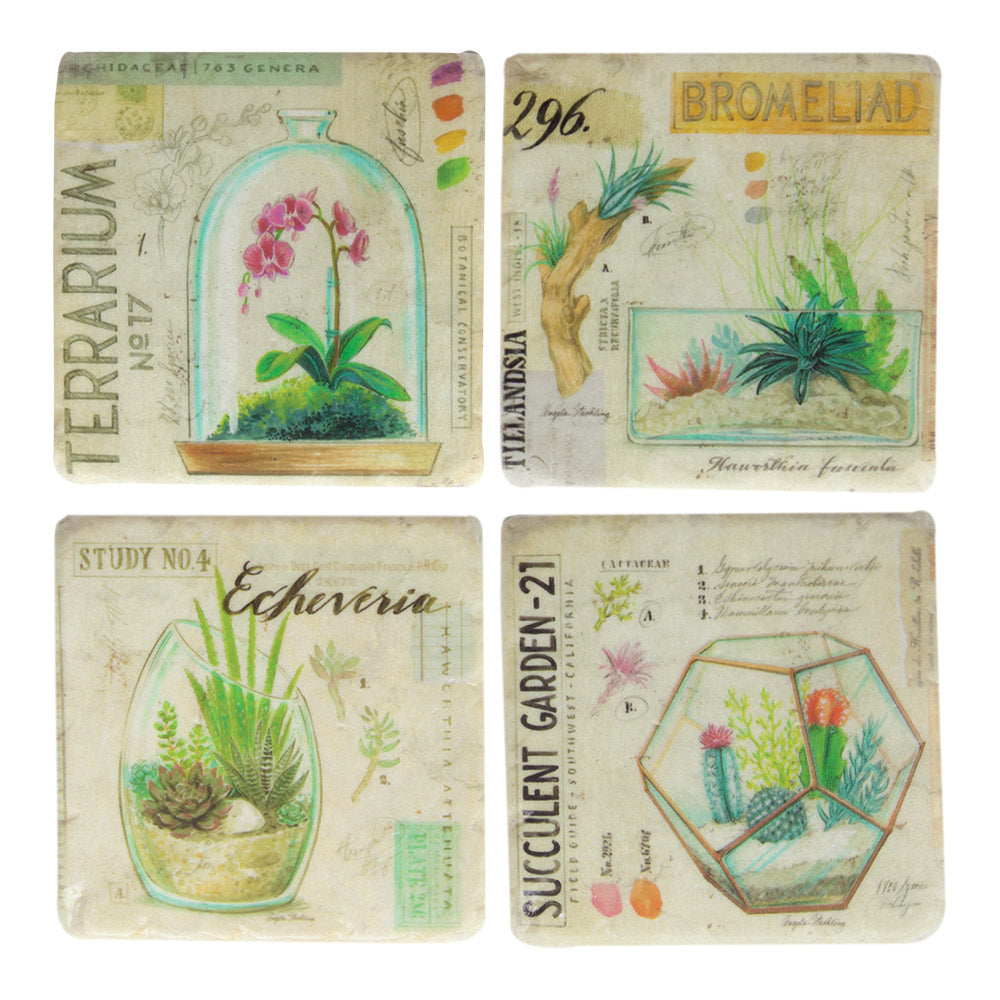 Terrarium Coaster Set of 4