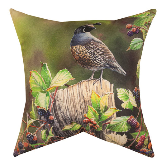 Blackberry Haven Climaweave Pillow 18" Indoor/Outdoor