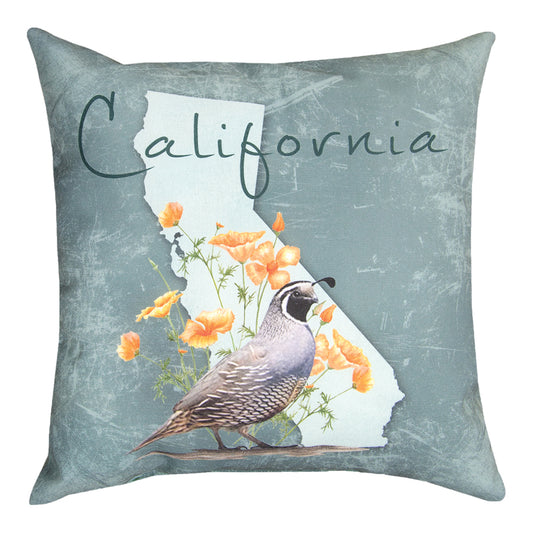 California Quail Climaweave Pillow 18" Indoor/Outdoor