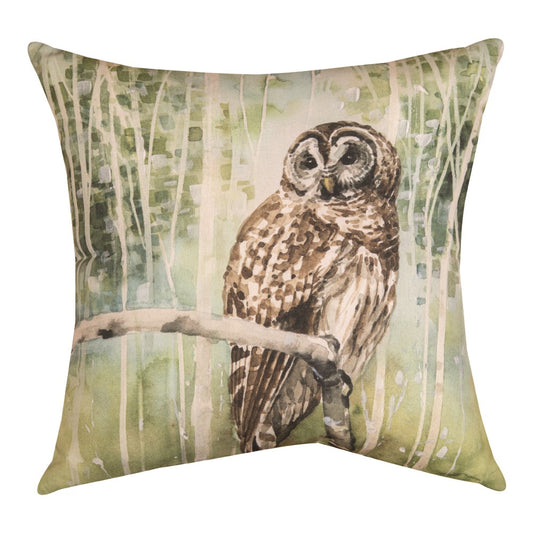 Nature's Call Owl Climaweave Pillow 18" Indoor/Outdoor