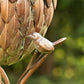 67 inch Tall Pinecone Shaped Copper Birdhouse Stake