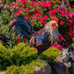 27" Tall Painted Iron Rooster Decoration Chester