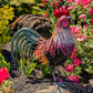 28" Tall Painted Iron Rooster Decoration Leopold